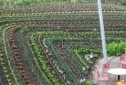 Sarsfieldpermaculture-5.jpg; ?>