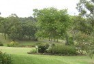 Sarsfieldresidential-landscaping-40.jpg; ?>